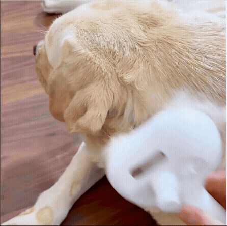 Pet Spa Mist Comb