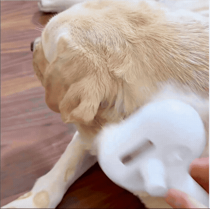 Pet Spa Mist Comb